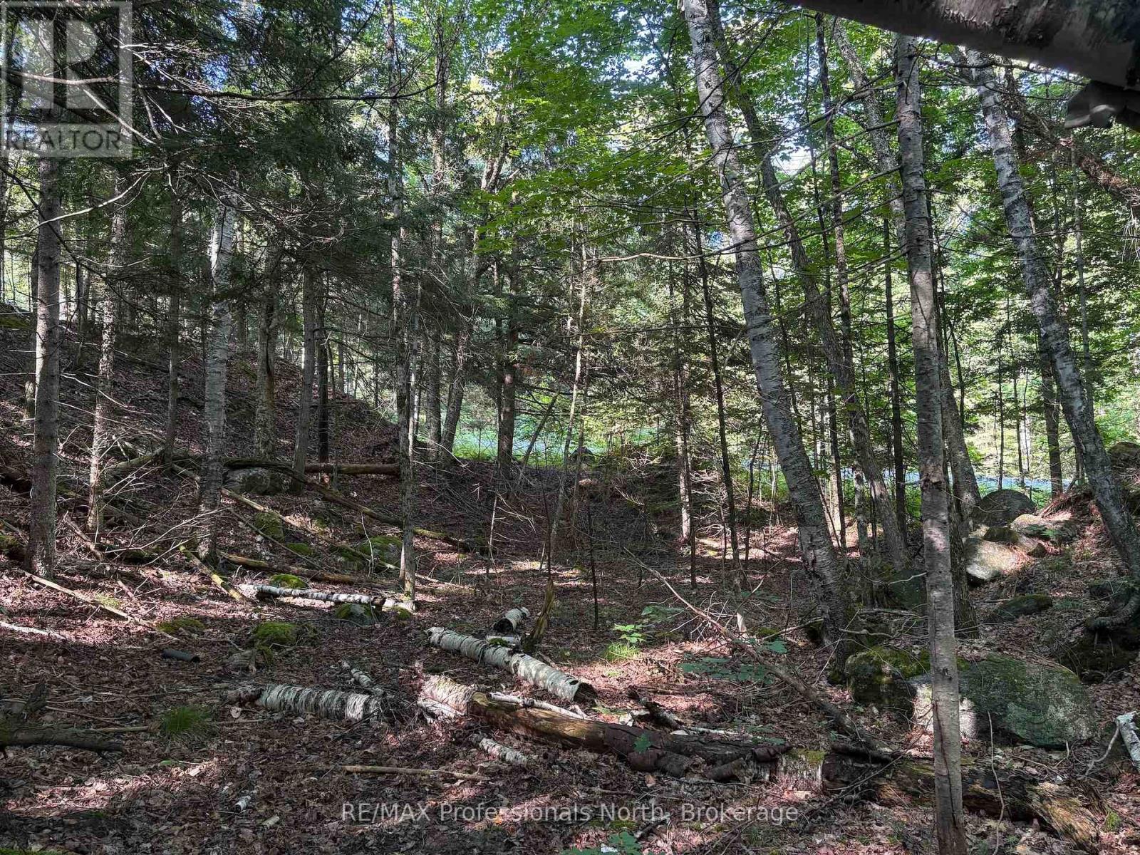 0 Parish Line Road, Dysart Et Al, Ontario  K0M 1S0 - Photo 22 - X13664842