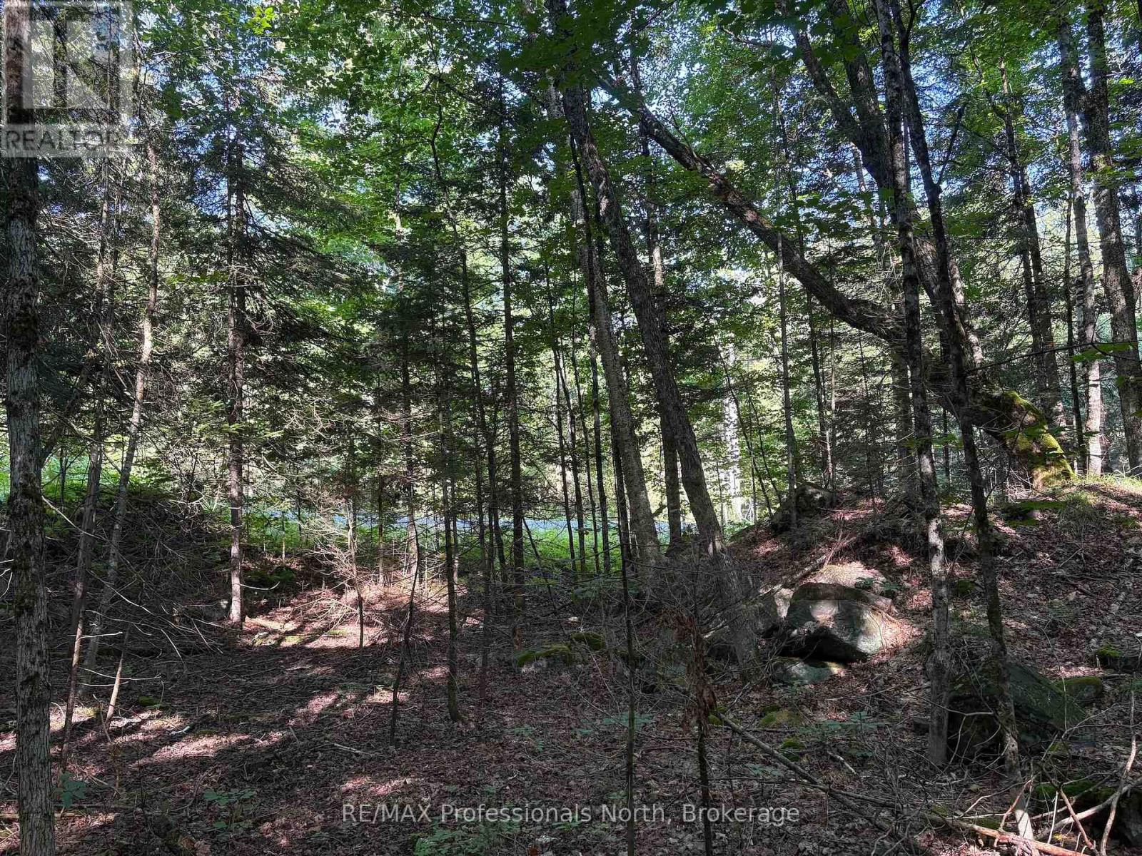 0 Parish Line Road, Dysart Et Al, Ontario  K0M 1S0 - Photo 23 - X13664842