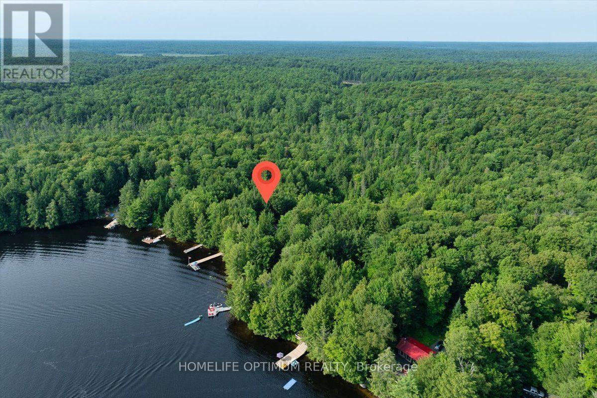 1195 Lakeshore Drive N, Bracebridge, Ontario  P1L 1X3 - Photo 10 - X13660676