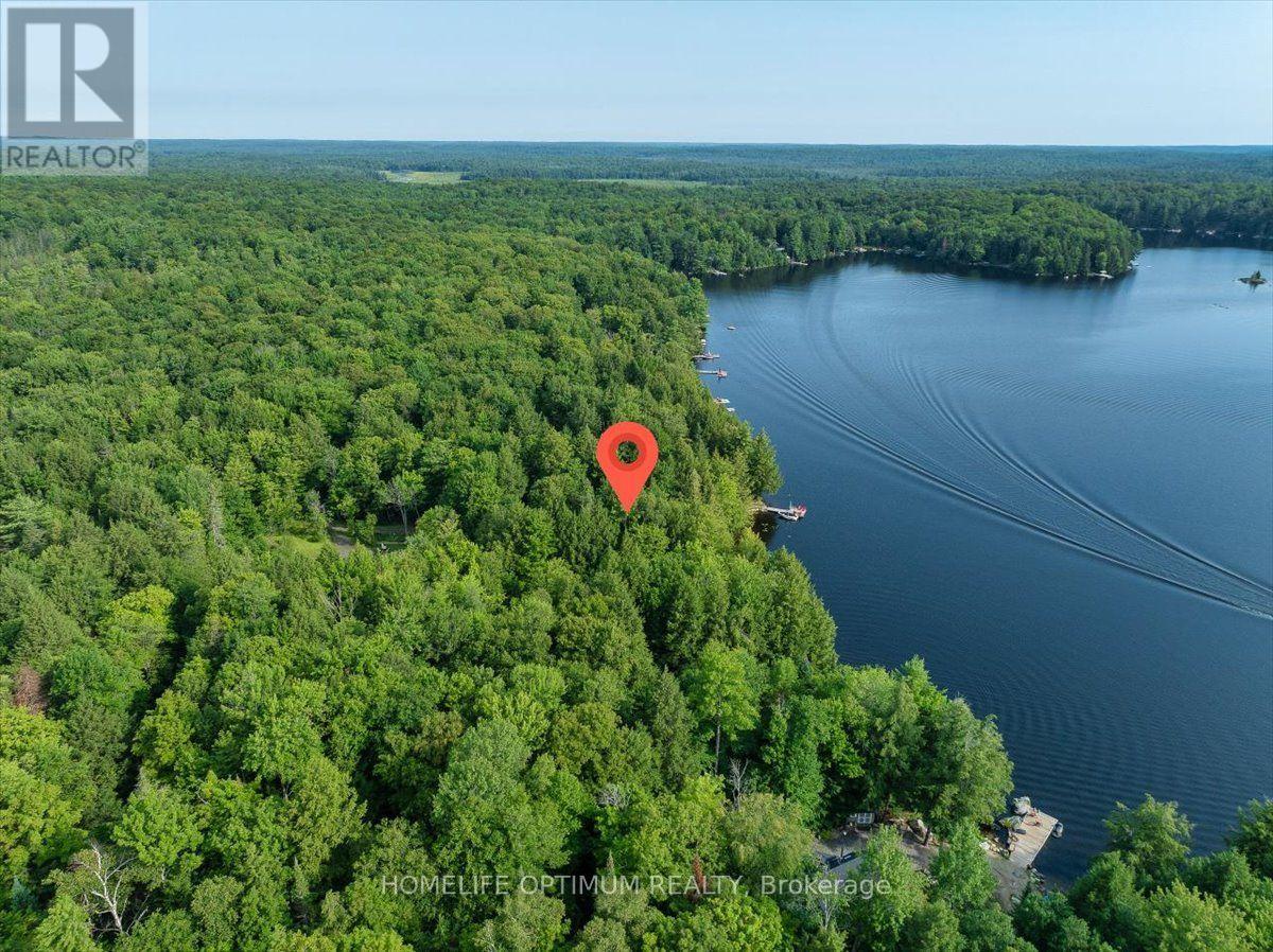 1195 Lakeshore Drive N, Bracebridge, Ontario  P1L 1X3 - Photo 11 - X13660676