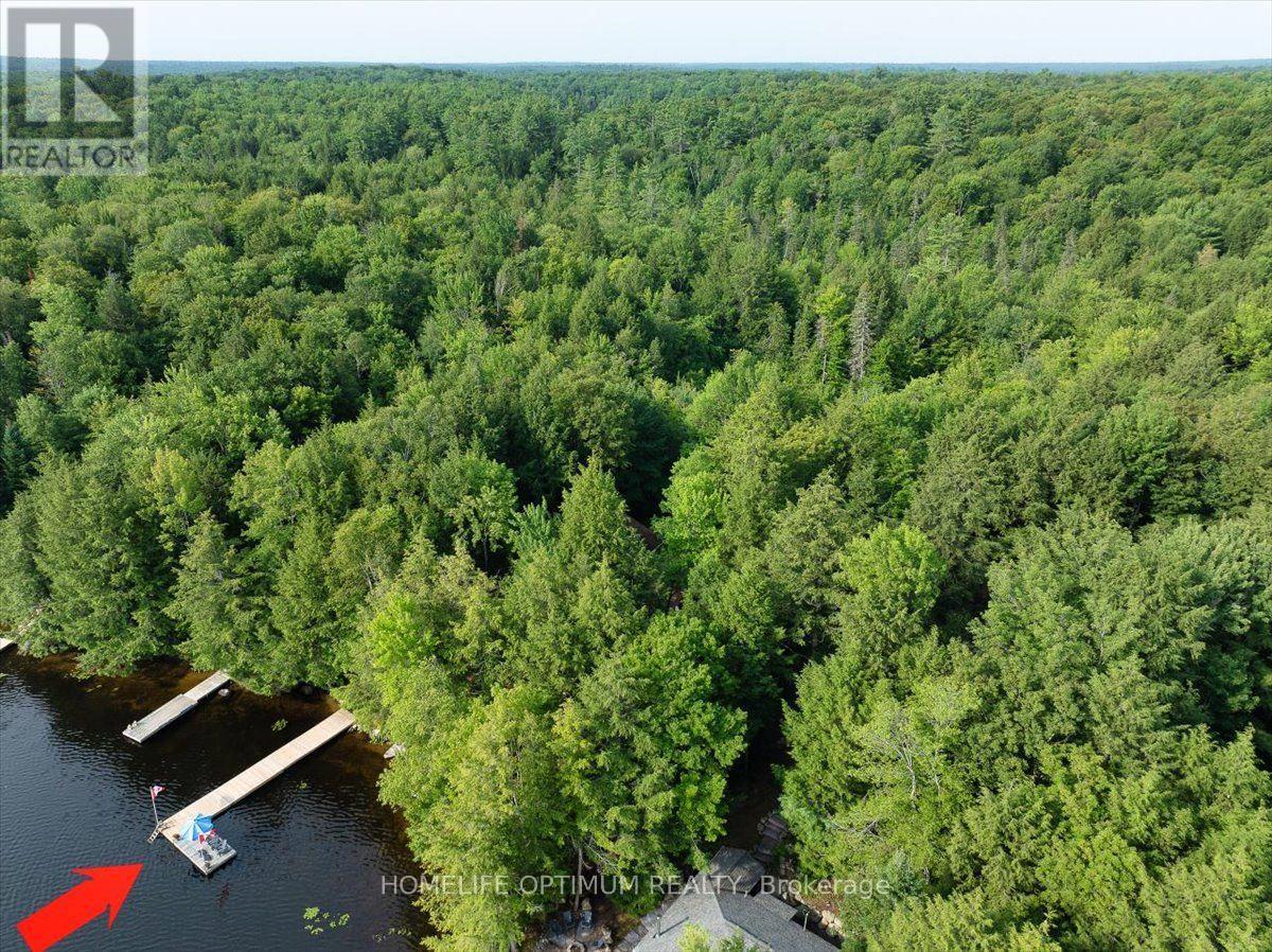 1195 Lakeshore Drive N, Bracebridge, Ontario  P1L 1X3 - Photo 13 - X13660676