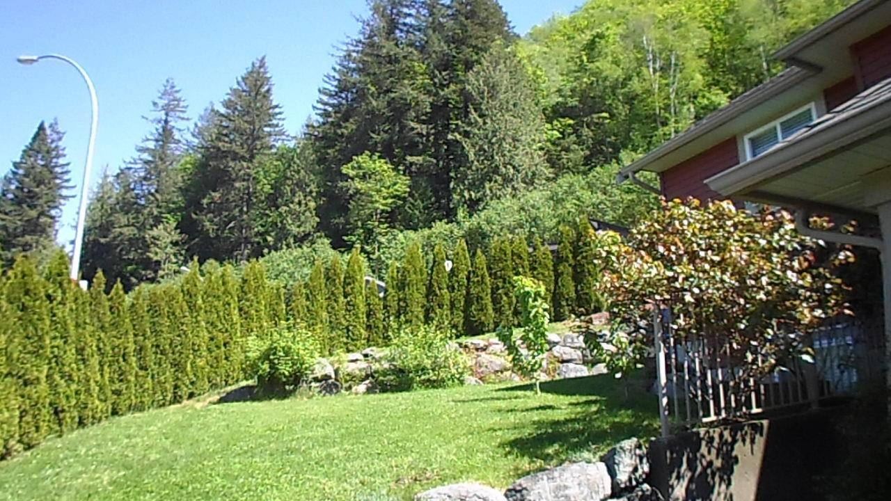 picture 35