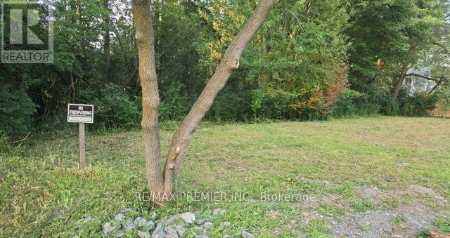 0 Fergus Avenue, Richmond Hill, Ontario  L4E 3C2 - Photo 2 - N13652928