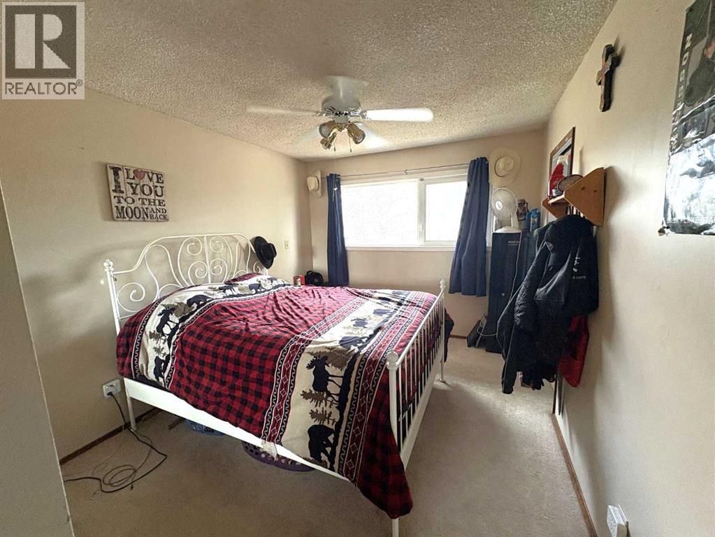 5602 47 Avenue W, Forestburg, Alberta  T0B 1N0 - Photo 16 - A2313655