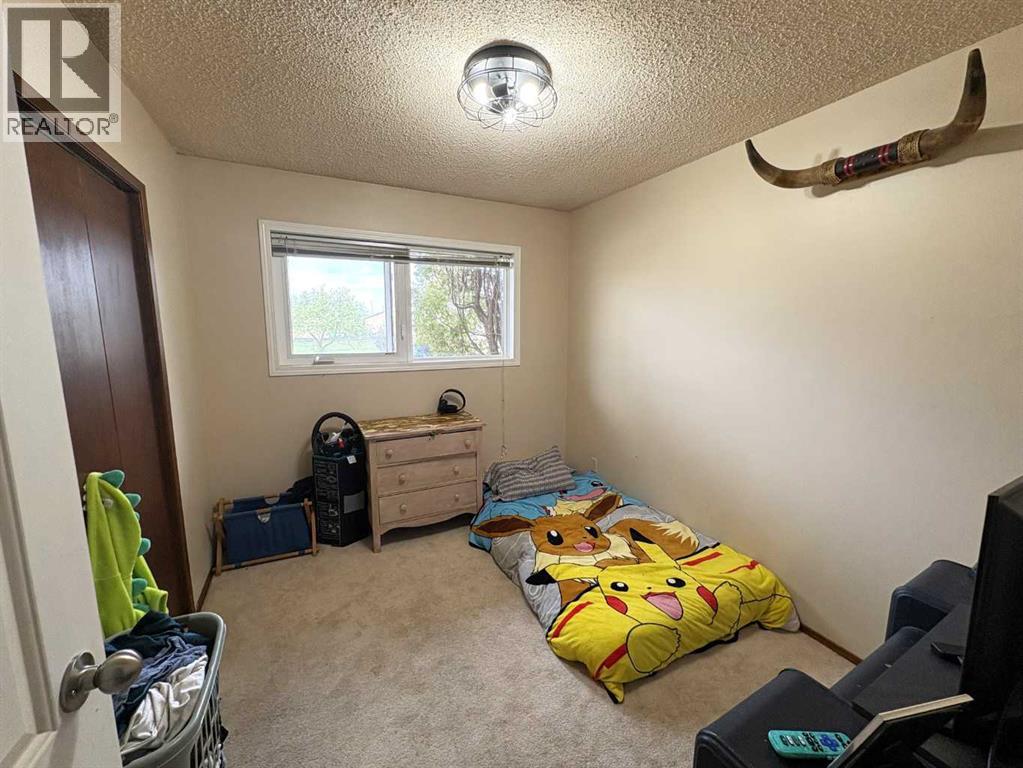 5602 47 Avenue W, Forestburg, Alberta  T0B 1N0 - Photo 17 - A2313655