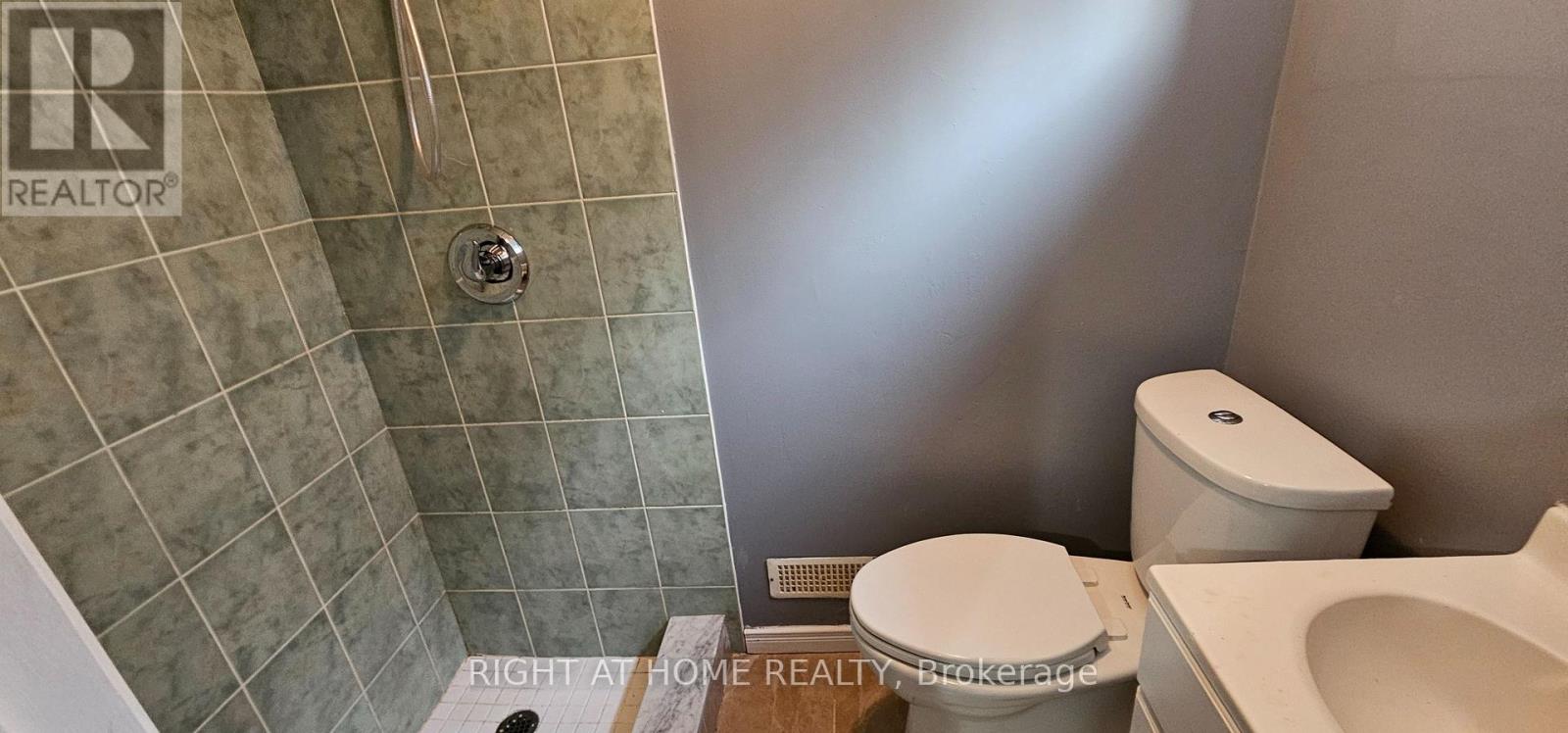 Bsmt - 163 Mcmurchy Avenue S, Brampton, Ontario  L6X 1Z2 - Photo 14 - W13580878