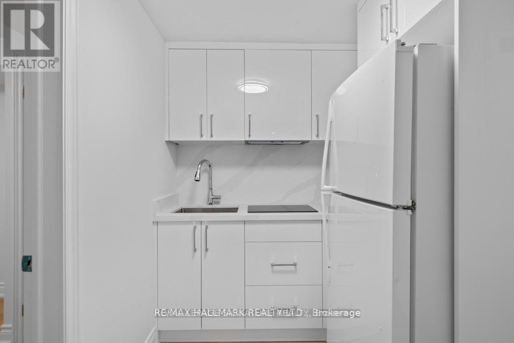 227-Basement Thoms Crescent, Newmarket, Ontario L3Y 1C9 - Photo 6 - N13665136
