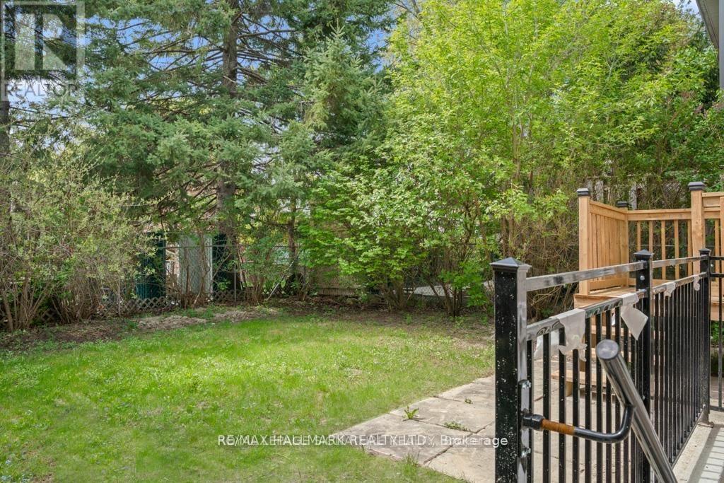 227-Basement Thoms Crescent, Newmarket, Ontario L3Y 1C9 - Photo 8 - N13665136