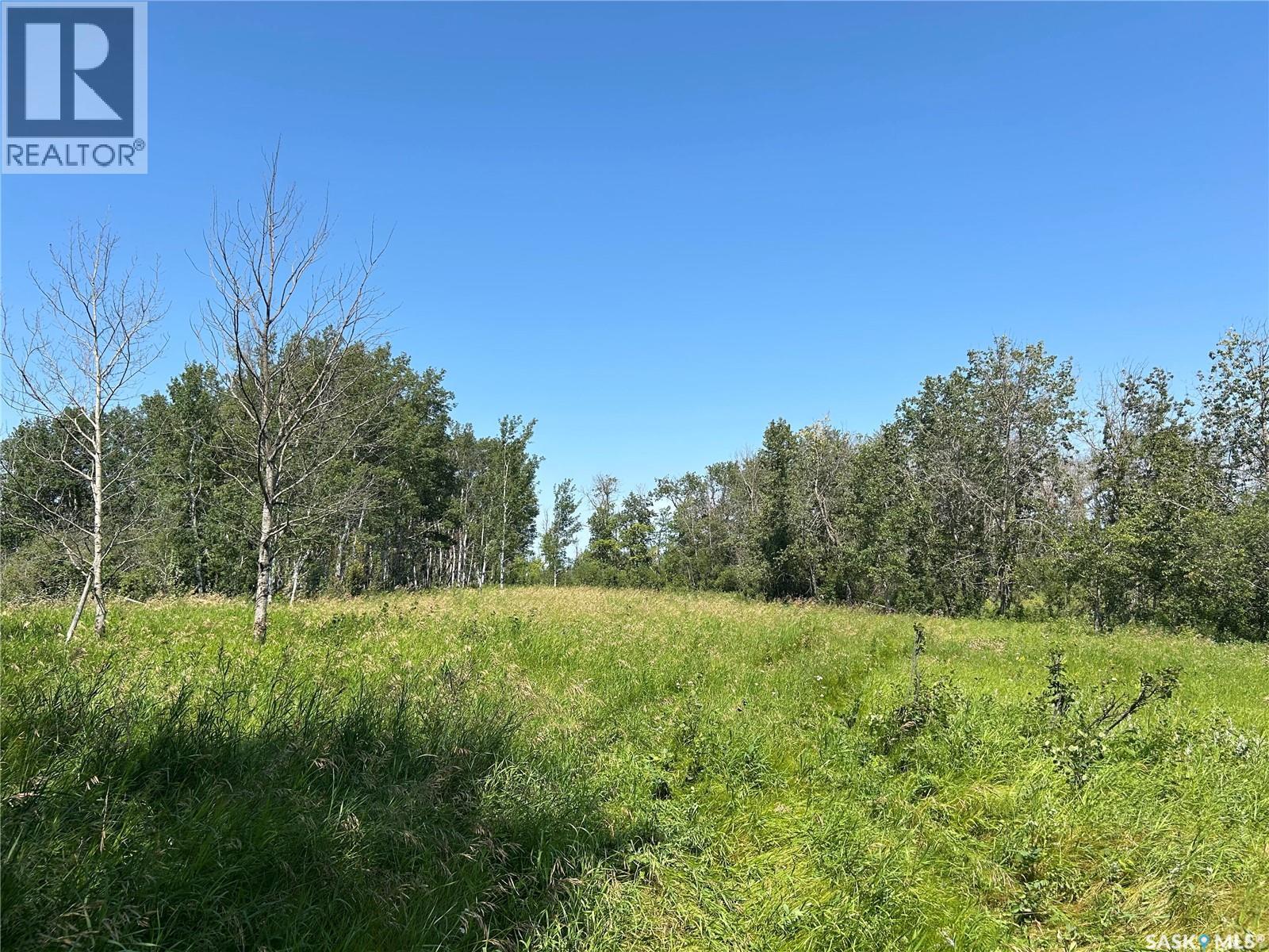 Bear Lake Farm, Hafford, Saskatchewan  S0J 1A0 - Photo 16 - SK045204