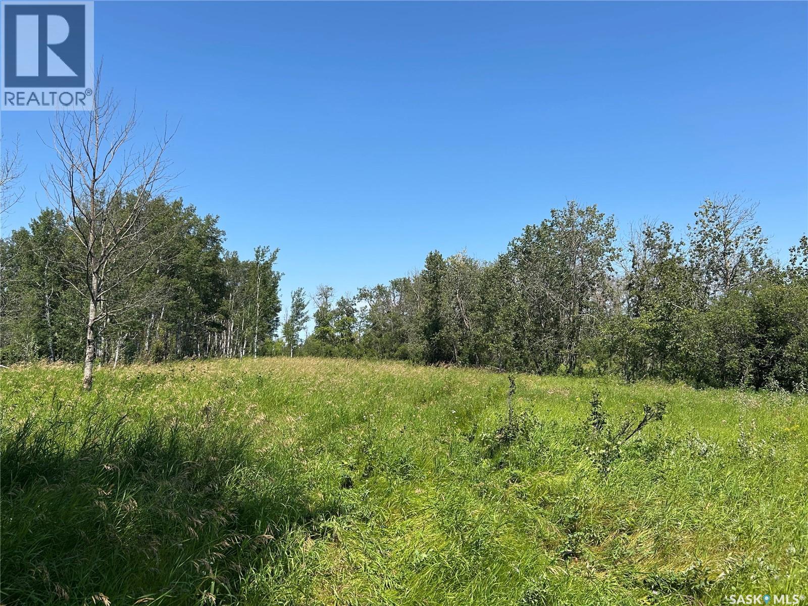 Bear Lake Farm, Hafford, Saskatchewan  S0J 1A0 - Photo 17 - SK045204