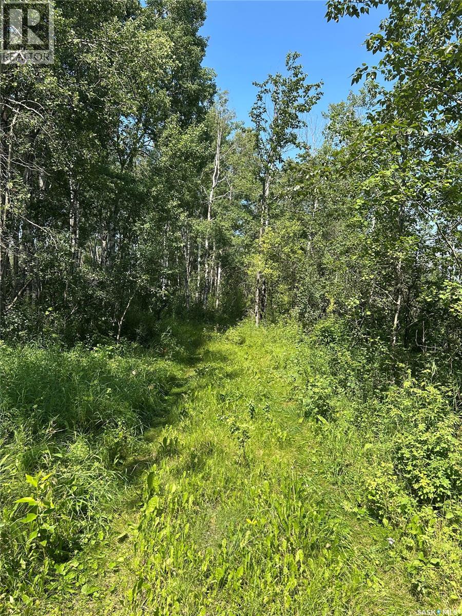 Bear Lake Farm, Hafford, Saskatchewan  S0J 1A0 - Photo 18 - SK045204