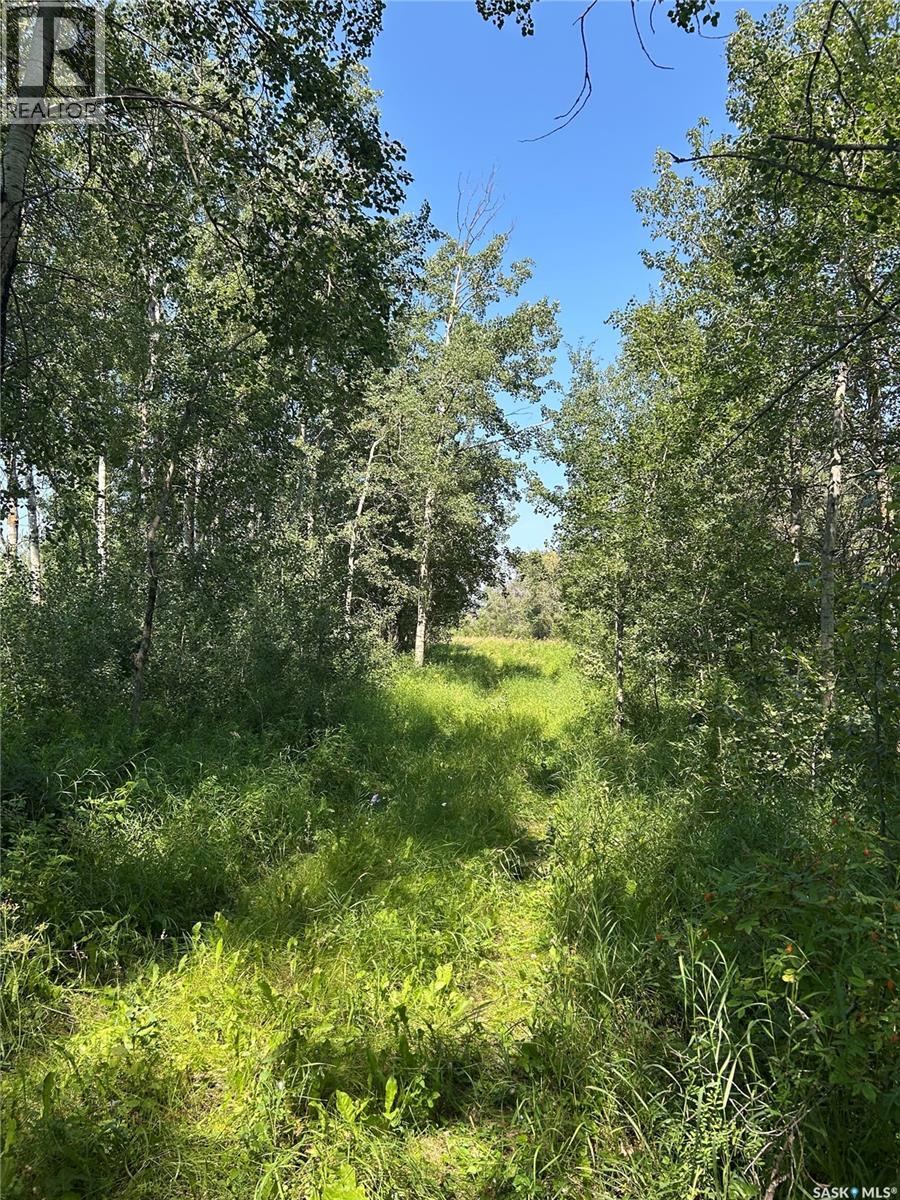 Bear Lake Farm, Hafford, Saskatchewan  S0J 1A0 - Photo 21 - SK045204