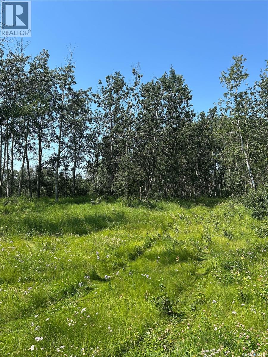 Bear Lake Farm, Hafford, Saskatchewan  S0J 1A0 - Photo 22 - SK045204