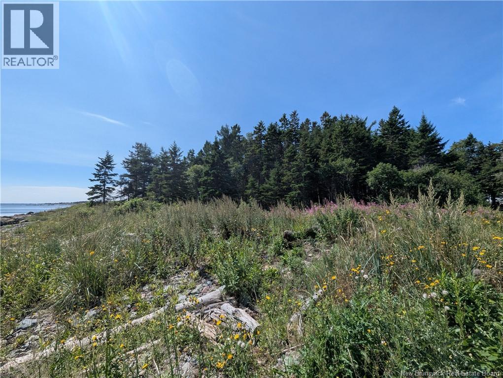 2.3 Acres Route 134, Petit-Rocher-Nord, New Brunswick  E8J 2E5 - Photo 2 - NB145759