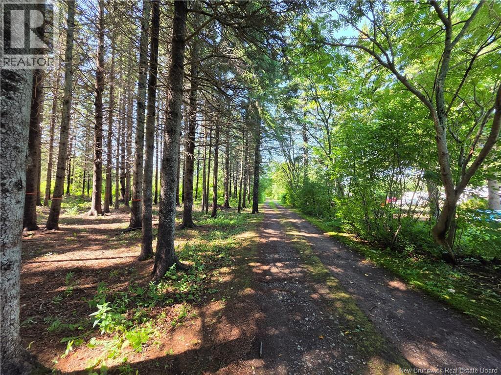 2.3 Acres Route 134, Petit-Rocher-Nord, New Brunswick  E8J 2E5 - Photo 8 - NB145759