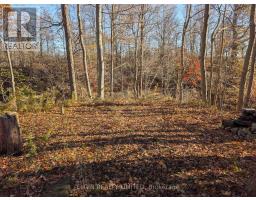 46420 METHODIST STREET, Central Elgin, Ontario