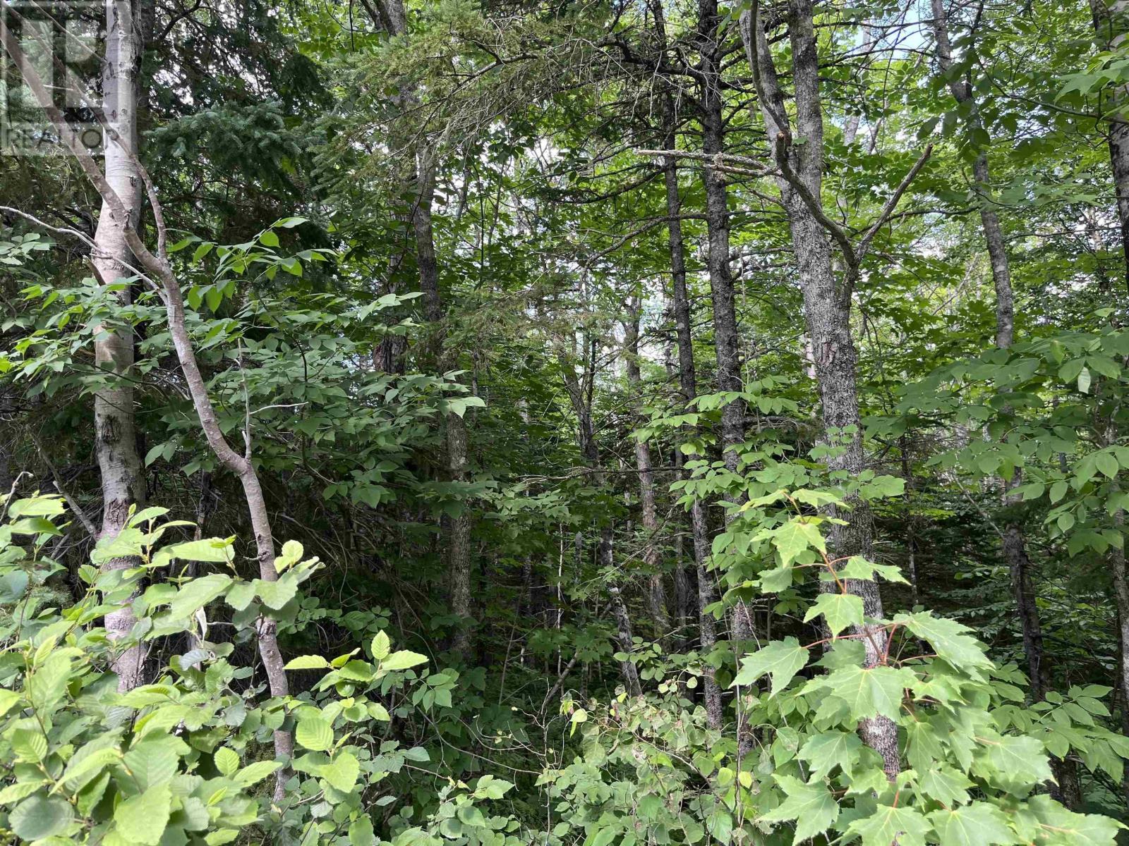 2 Lot 2 Butler Road Road, Forest Home, Nova Scotia  B4N 3V8 - Photo 1 - 202307825