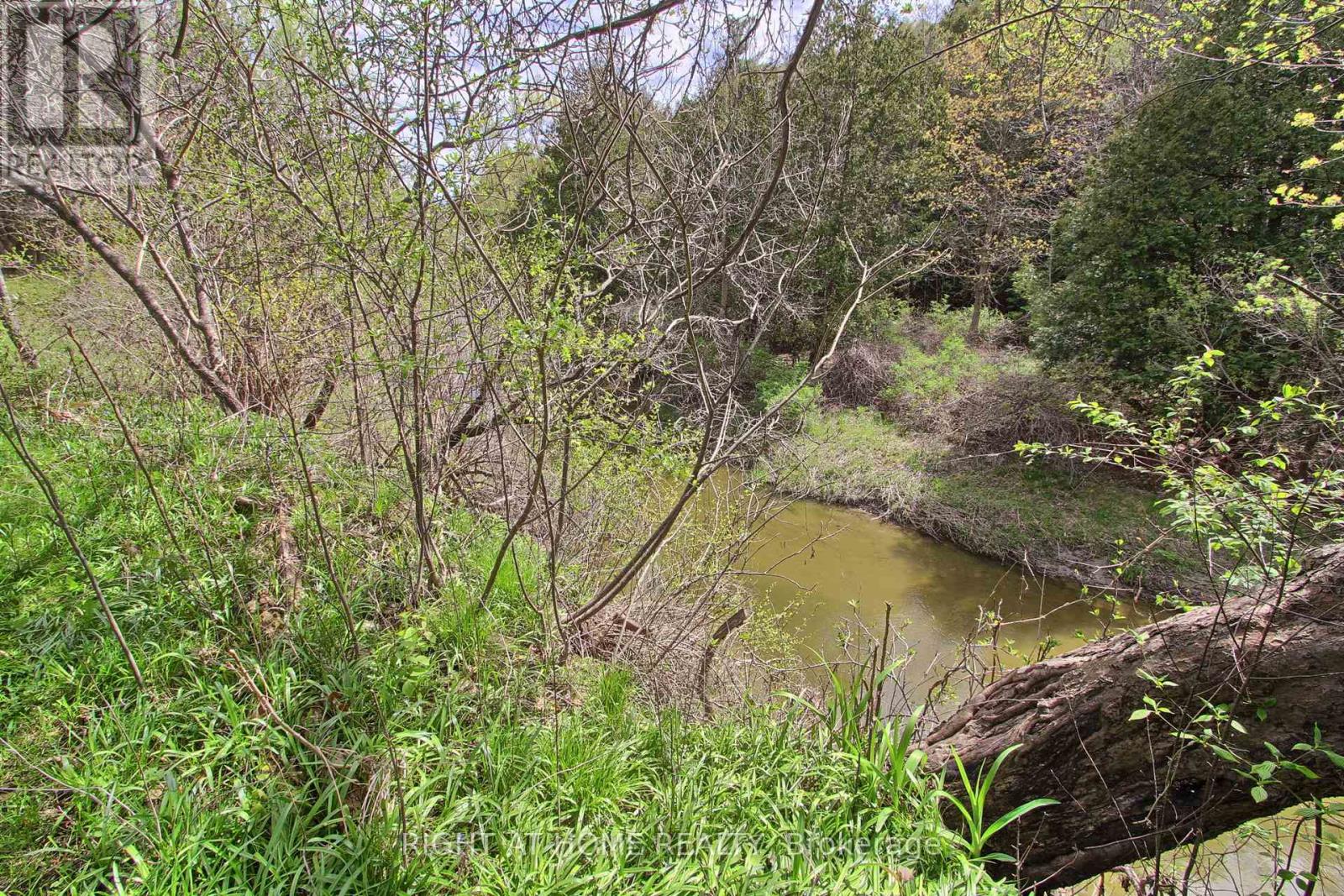 115 Valley Road, Vaughan, Ontario L0J 1C0 - Photo 44 - N13144582