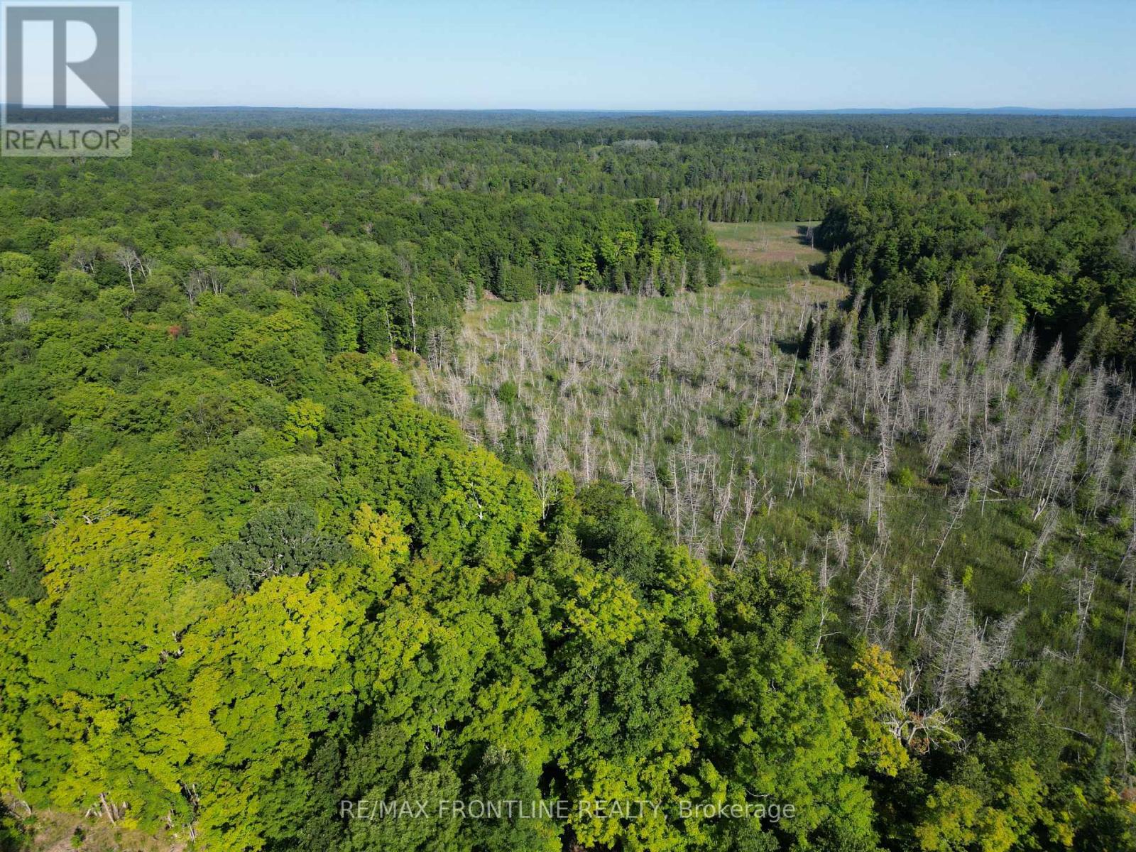 3448 Bennett Lake Road, Tay Valley, Ontario K0H 2B0 - Photo 3 - X13665352