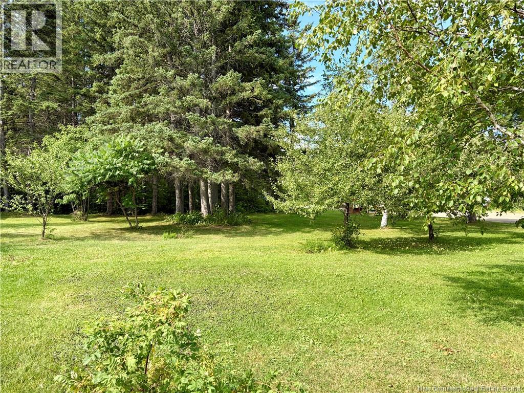 235 Ave Des Pionniers, Balmoral, New Brunswick  E8E 1B1 - Photo 30 - NB145684