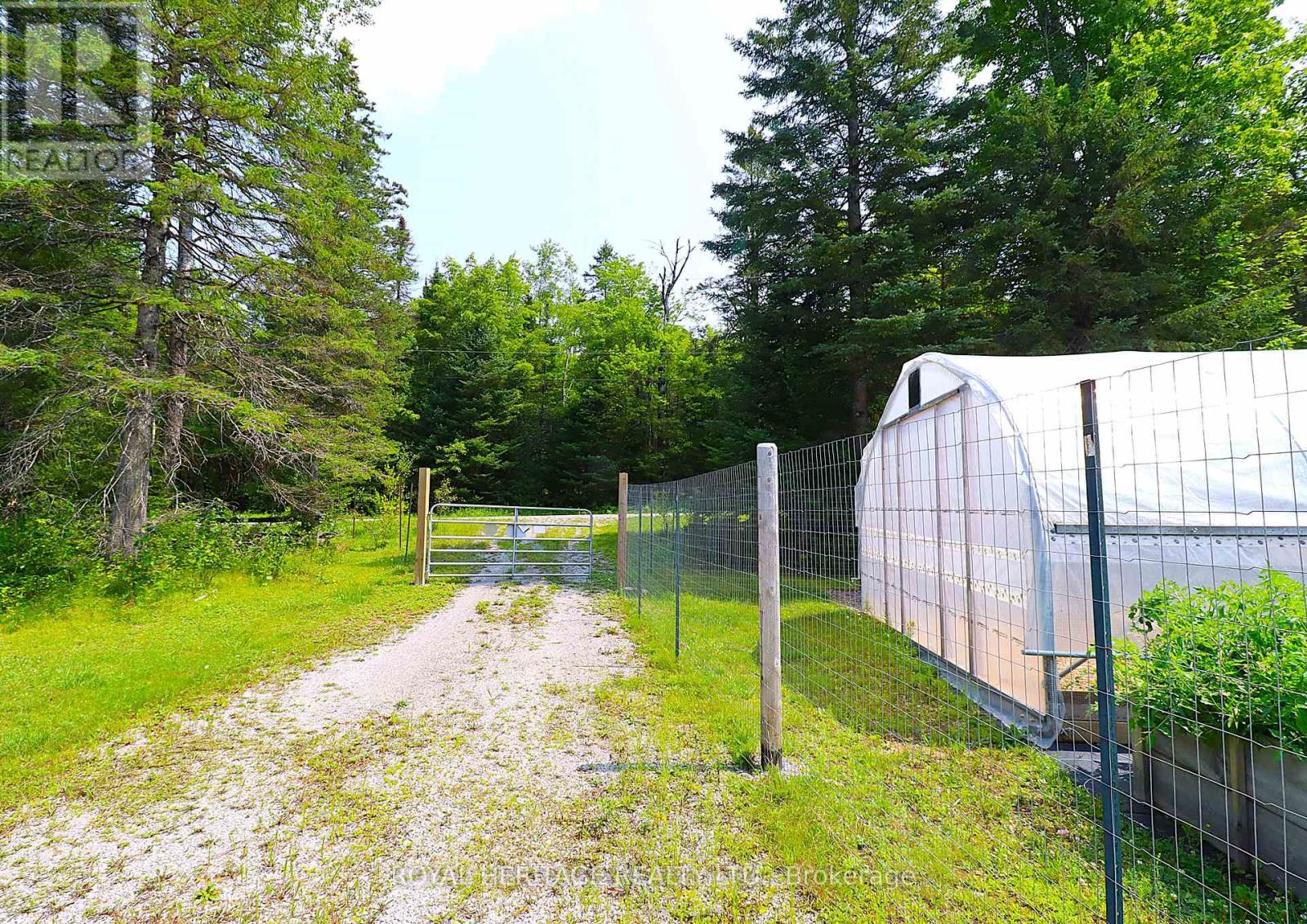 1118 Dutch Line Road E, Trent Lakes, Ontario K0M 2A0 - Photo 10 - X13665474