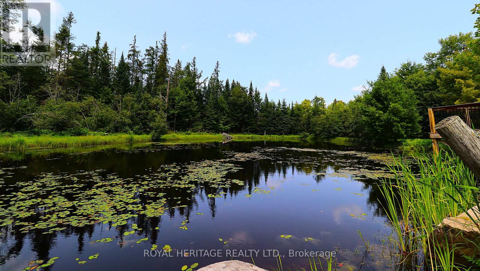 1118 Dutch Line Road E, Trent Lakes, Ontario K0M 2A0 - Photo 4 - X13665474