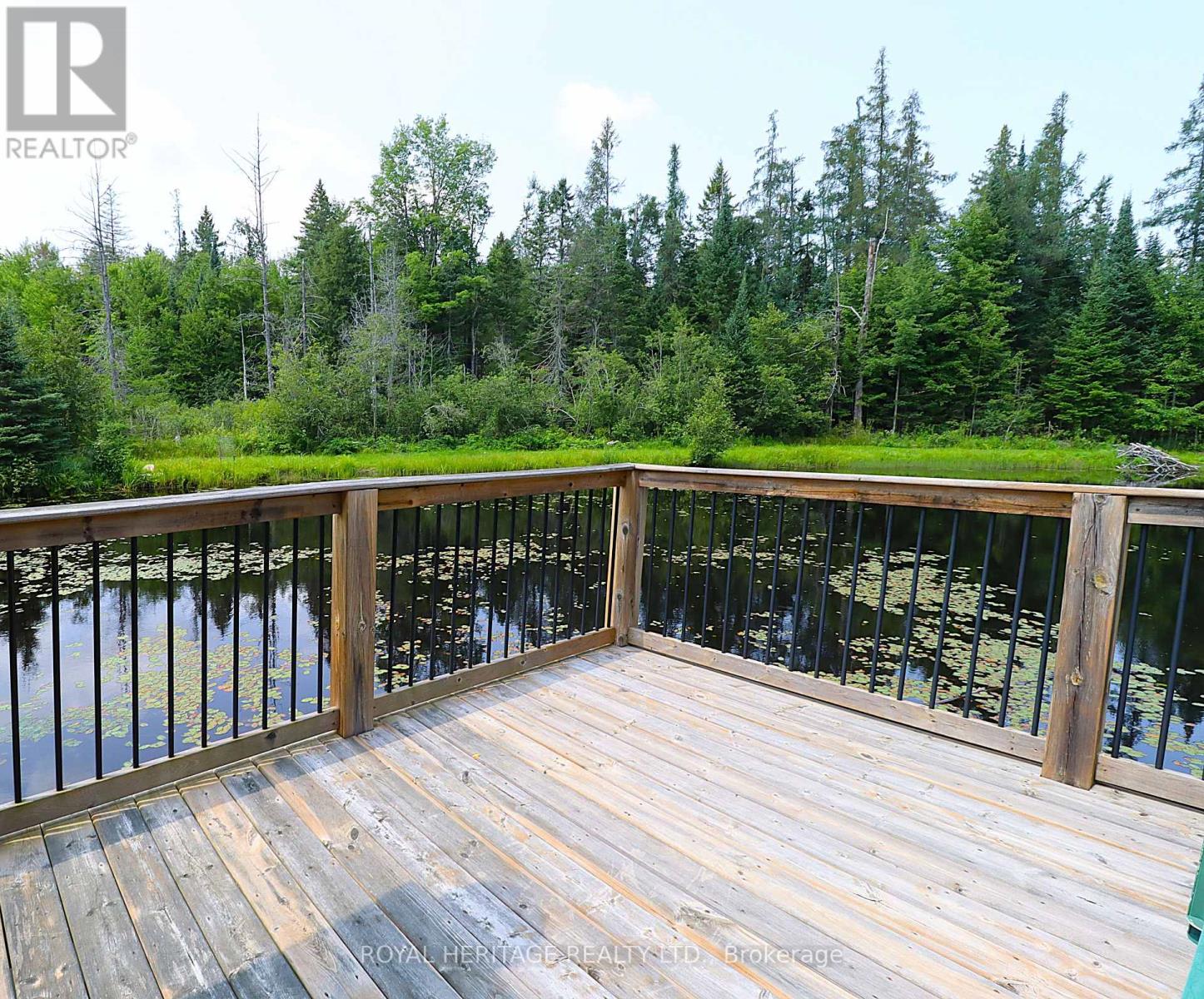 1118 Dutch Line Road E, Trent Lakes, Ontario K0M 2A0 - Photo 6 - X13665474