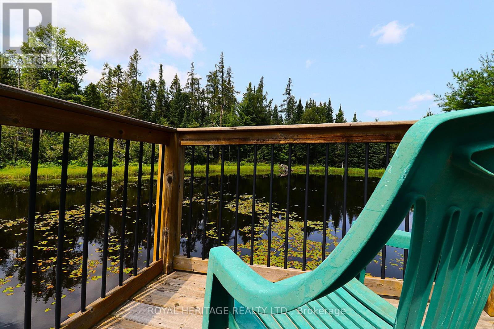 1118 Dutch Line Road E, Trent Lakes, Ontario K0M 2A0 - Photo 7 - X13665474