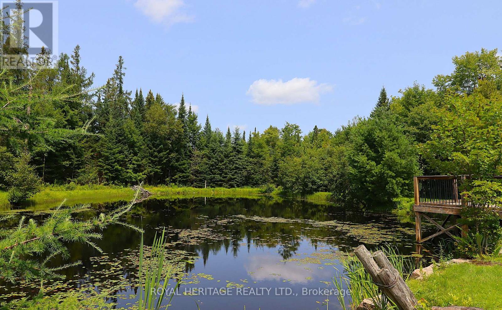 1118 Dutch Line Road E, Trent Lakes, Ontario K0M 2A0 - Photo 8 - X13665474