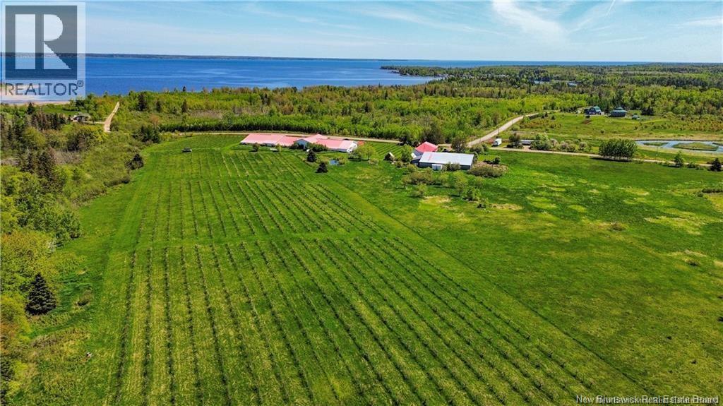 851 Route 970, Baie Verte, New Brunswick  E4M 1Y3 - Photo 4 - NB145828