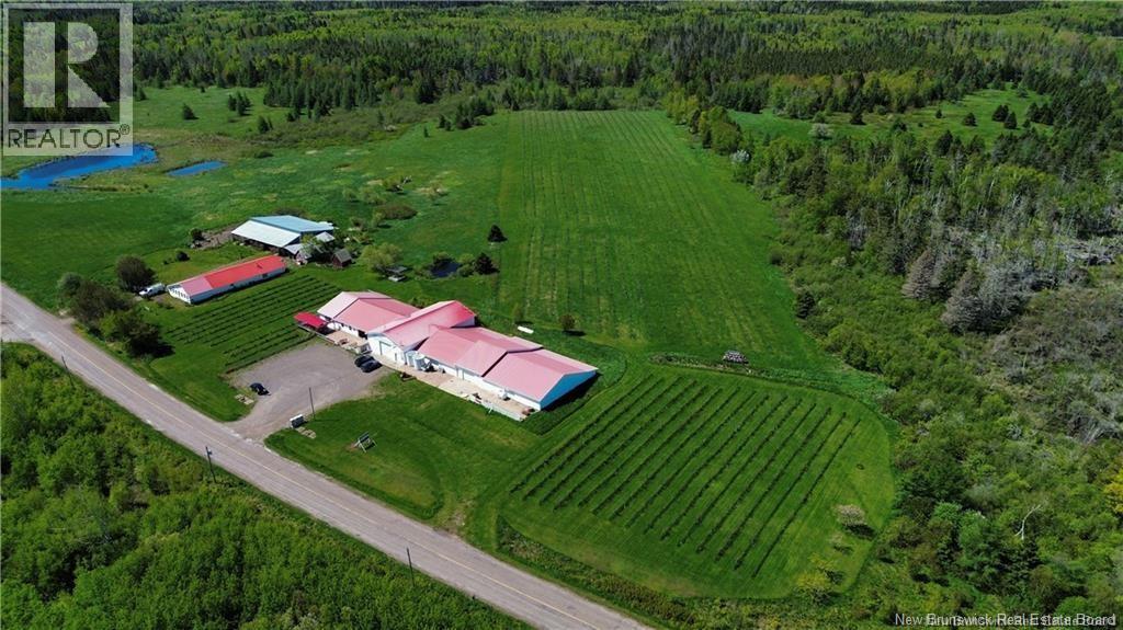 851 Route 970, Baie Verte, New Brunswick  E4M 1Y3 - Photo 3 - NB145828