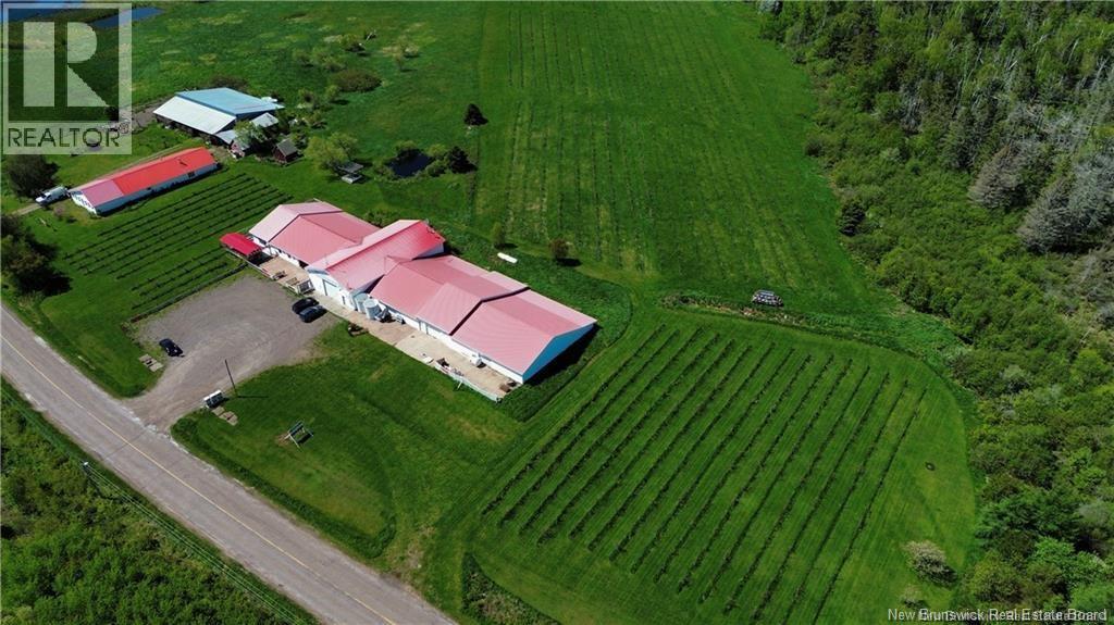 851 Route 970, Baie Verte, New Brunswick  E4M 1Y3 - Photo 41 - NB145828
