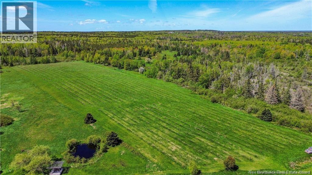 851 Route 970, Baie Verte, New Brunswick  E4M 1Y3 - Photo 45 - NB145828