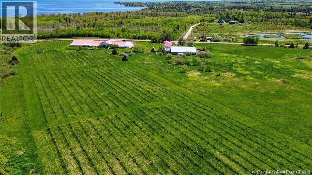 851 Route 970, Baie Verte, New Brunswick  E4M 1Y3 - Photo 47 - NB145828