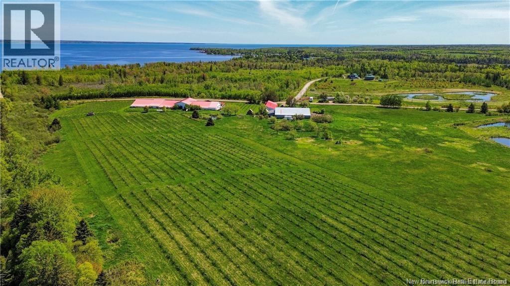 851 Route 970, Baie Verte, New Brunswick  E4M 1Y3 - Photo 48 - NB145828