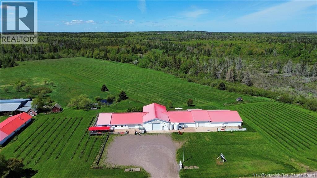 851 Route 970, Baie Verte, New Brunswick  E4M 1Y3 - Photo 44 - NB145828