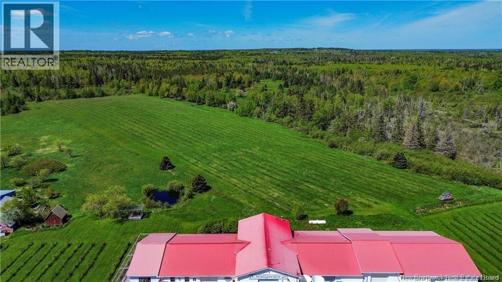 851 Route 970, Baie Verte, New Brunswick  E4M 1Y3 - Photo 42 - NB145828