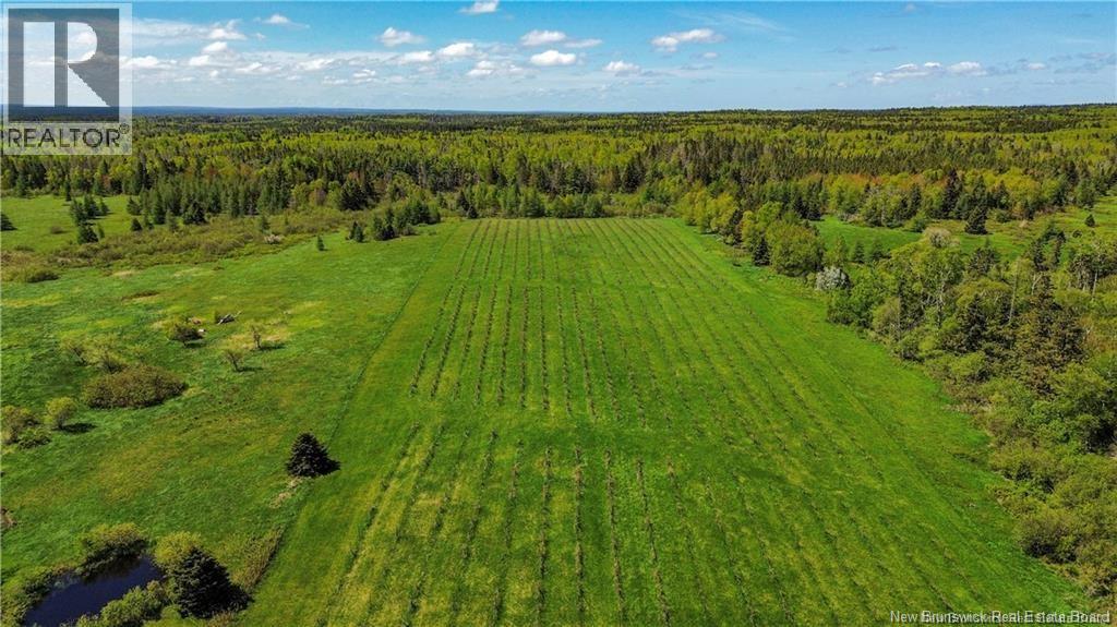 851 Route 970, Baie Verte, New Brunswick  E4M 1Y3 - Photo 46 - NB145828