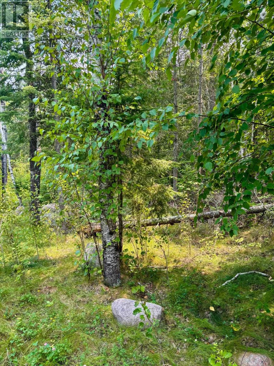 1 1 Thompson Is, Lake Of The Woods, S Of Kenora, Ontario  P0X 1C0 - Photo 22 - TB252539