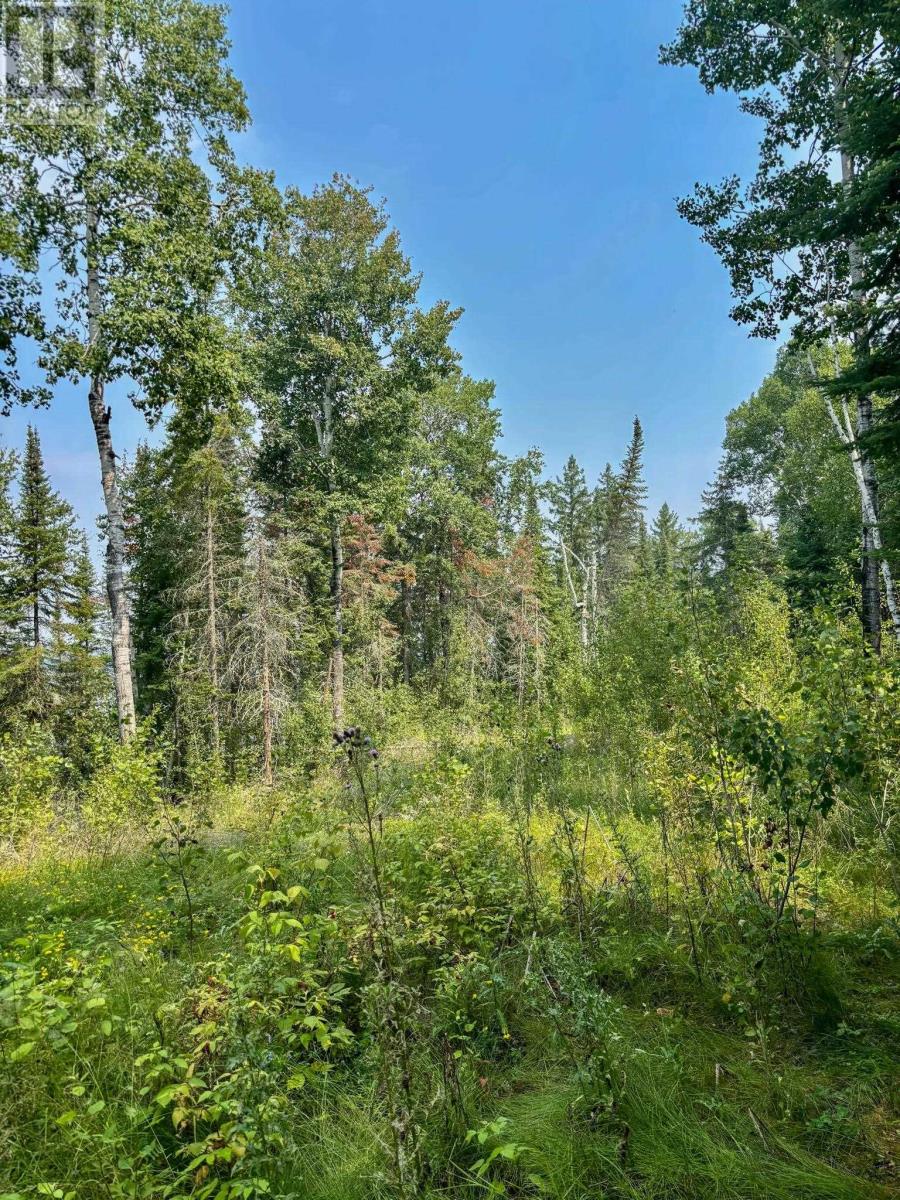 1 1 Thompson Is, Lake Of The Woods, S Of Kenora, Ontario  P0X 1C0 - Photo 20 - TB252539