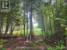 1880 Gowan Brae Drive, Bathurst, New Brunswick E2A 4X5 - Photo 4 - NB145841
