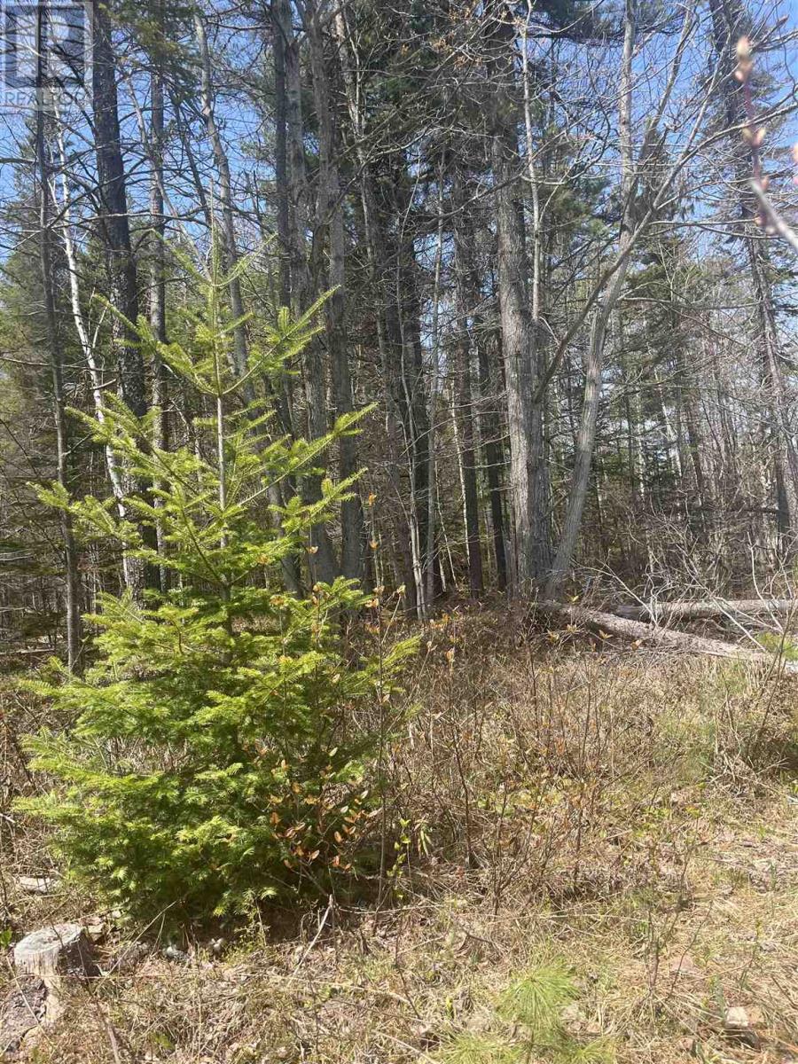 843 Airport Rd, Sault Ste. Marie, Ontario P6A 5K6 - Photo 16 - SM261064