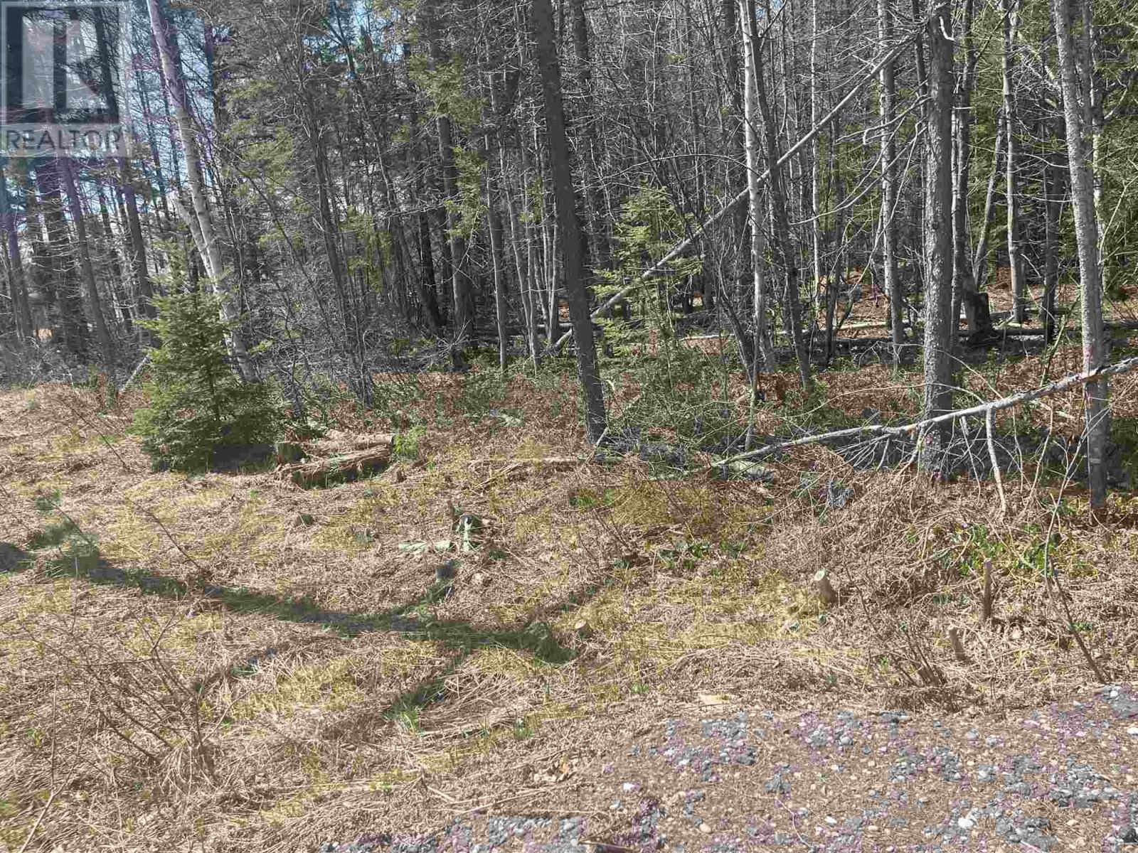 843 Airport Rd, Sault Ste. Marie, Ontario P6A 5K6 - Photo 3 - SM261064
