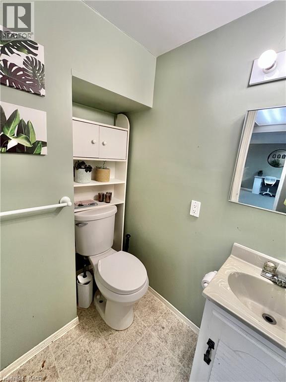 241 Thorner Drive, Hamilton, Ontario  L8V 2M6 - Photo 22 - 40855184