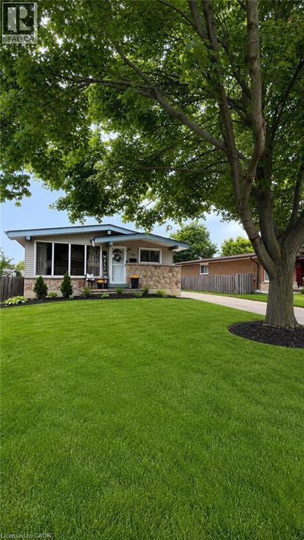 241 Thorner Drive, Hamilton, Ontario  L8V 2M6 - Photo 2 - 40855184