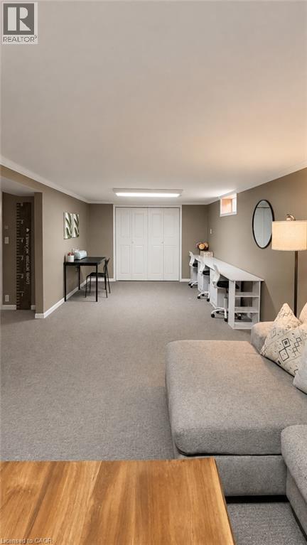 241 Thorner Drive, Hamilton, Ontario  L8V 2M6 - Photo 20 - 40855184