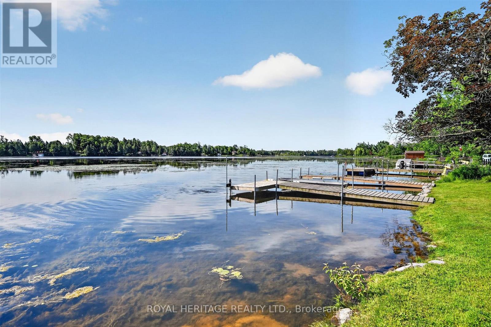 100 Clearview Drive, Kawartha Lakes, Ontario  K0L 2W0 - Photo 16 - X13665700