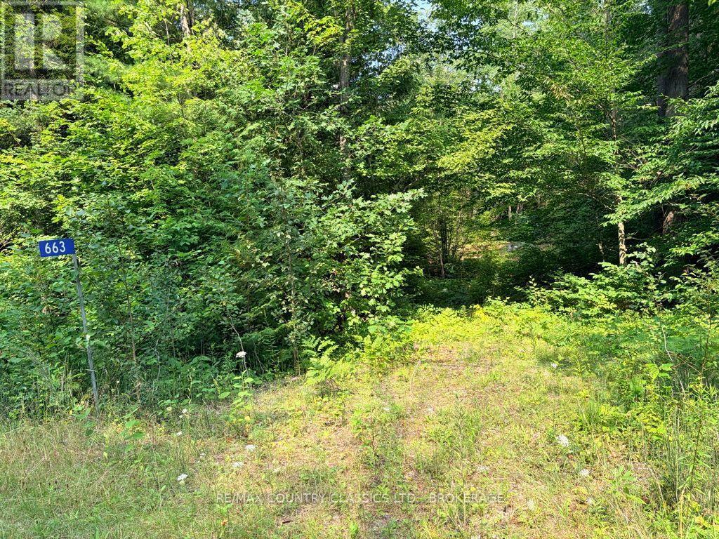 663 Skootamatta Lake Road, Frontenac, Ontario K0H 1K0 - Photo 2 - X13665752
