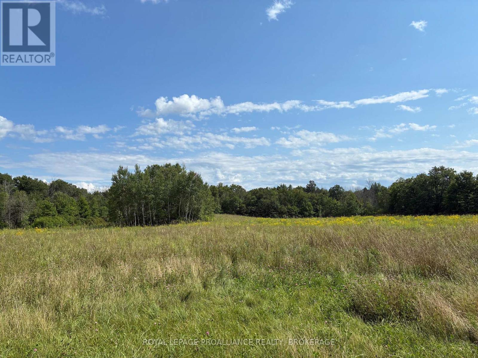 164 Jackson Road, Stone Mills, Ontario  K0K 1Z0 - Photo 10 - X13665916