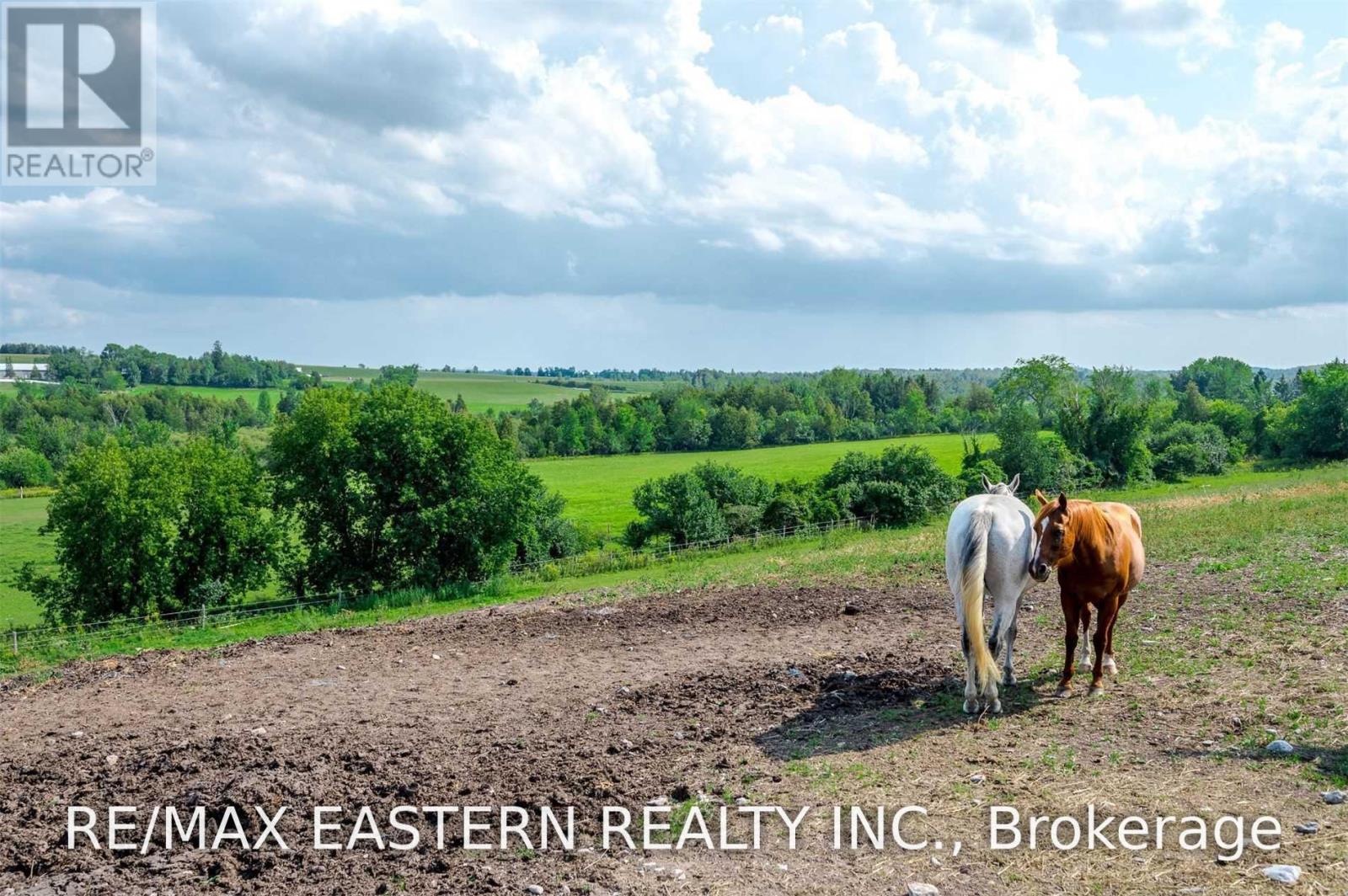 583 Second Line, Douro-Dummer, Ontario K0L 2B0 - Photo 11 - X13666028